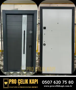 Kiraz Çelik Kapı - Eko 12