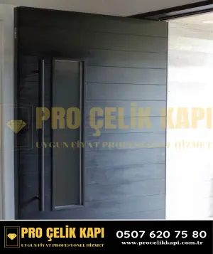 Kiraz Pivot Kapı - Model 38